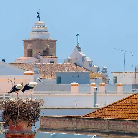 Appartement Olhao, 2min Island Ferry, Pool, Free Parking